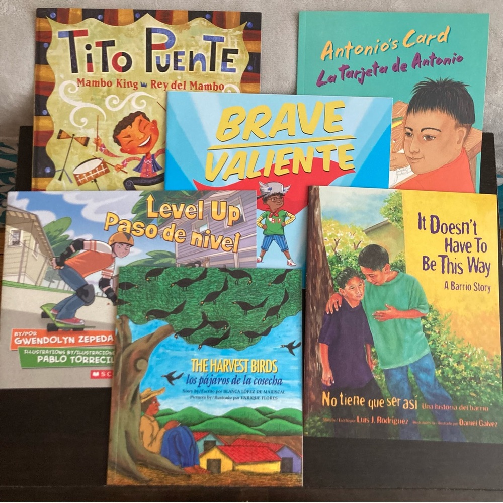 6 Bilingual story books